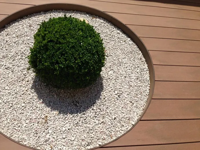 WPC decking referentna ambijentalna slika - ambijentalna slika1
