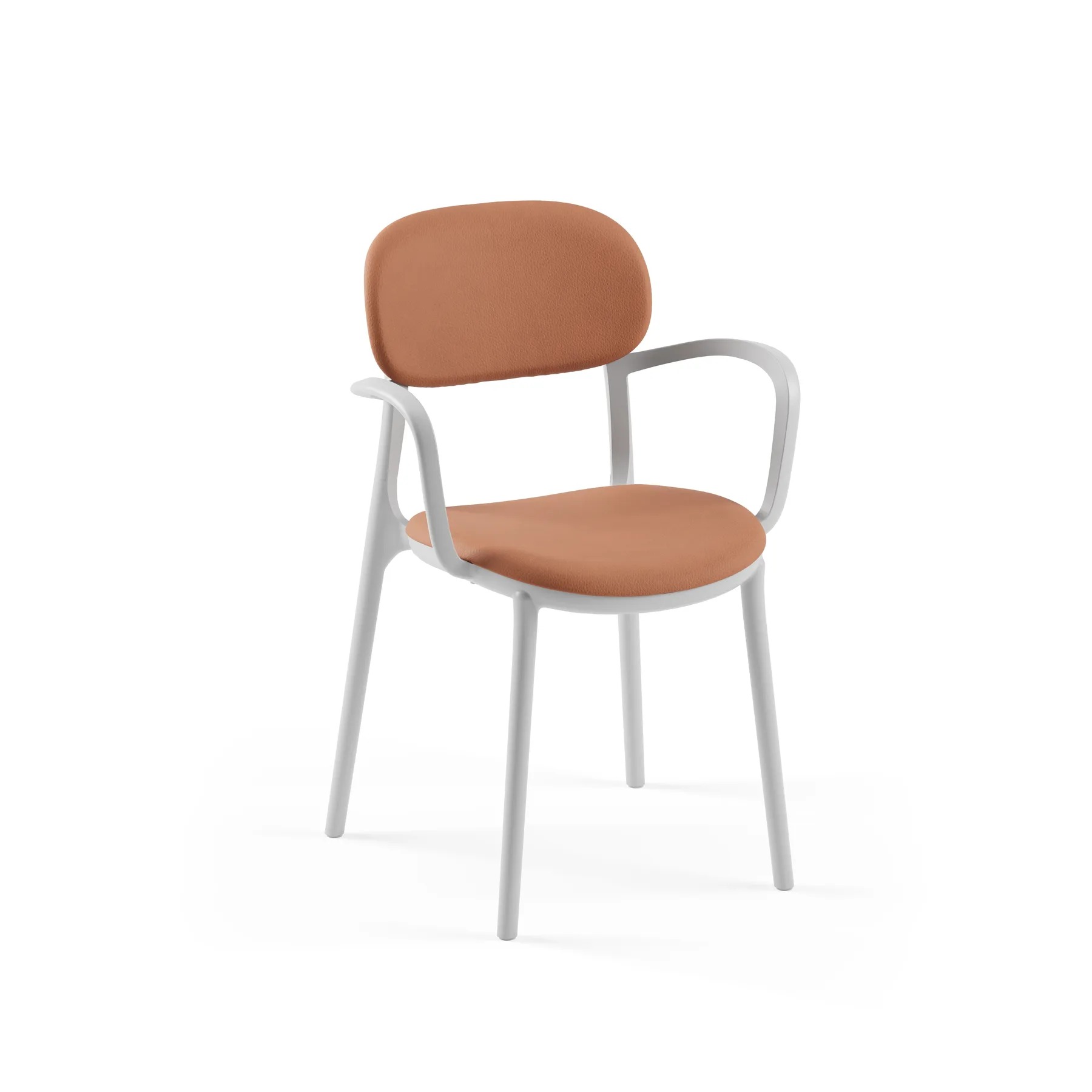 COOL GRAY-B / GRANO 01