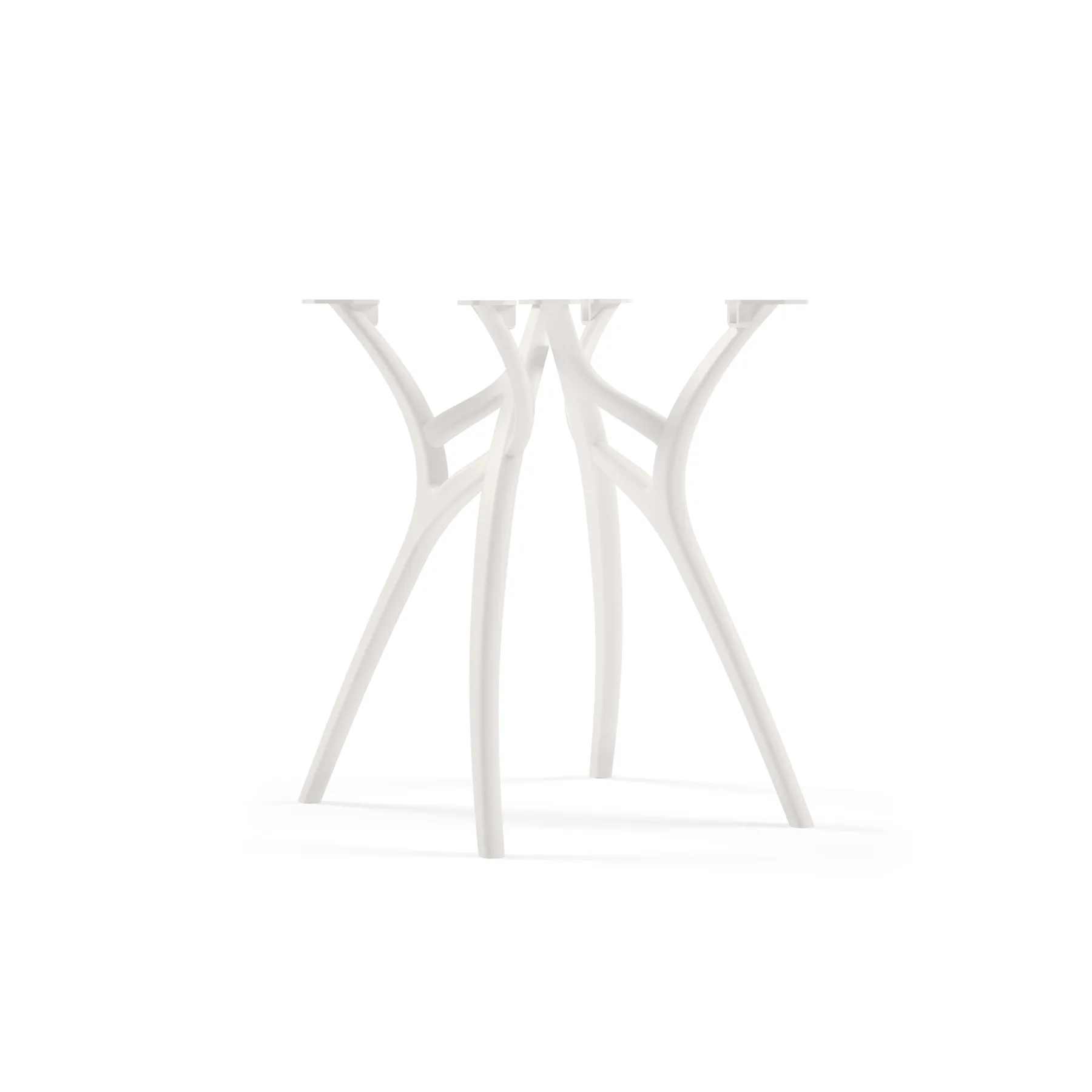 IVORY WHITE