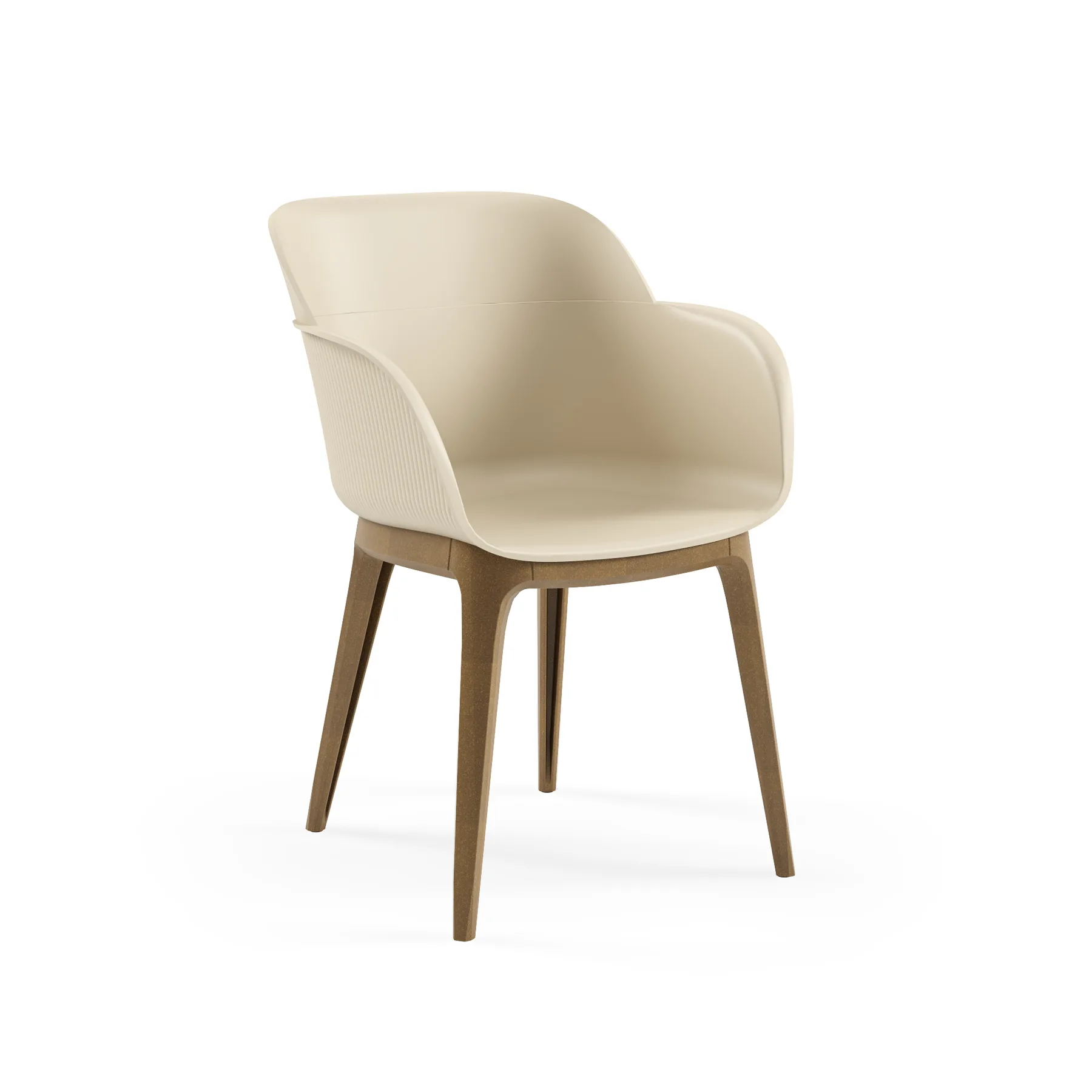Shell-WP 2