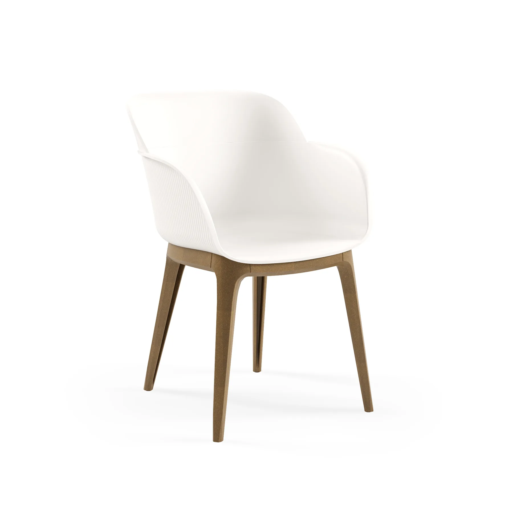 Shell-WP 5